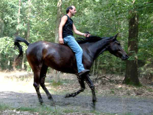 Los door het bos!