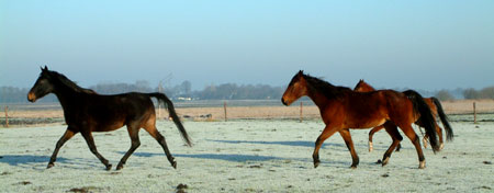 Vorst en zon tesaam