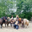 Ponyclub de Lichtehoeve 